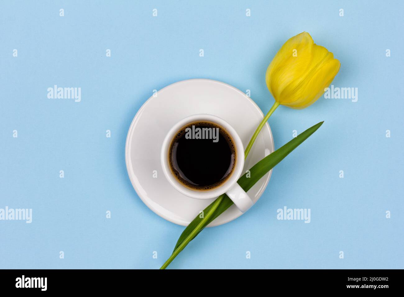 Eine Tasse schwarzen Kaffee auf einer weißen Untertasse und eine gelbe Tulpenblume auf einem blauen Hintergrund Draufsicht Stockfoto