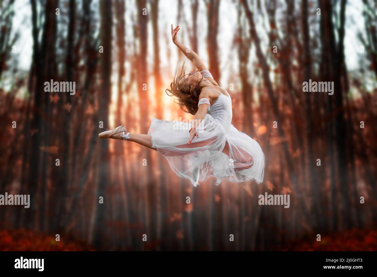 Flugattraktion einer jungen schönen Ballerina. Attraktives Modell in Ballerine-Kleid springen im Wald. Dunkle, verschwommene Rückseite Stockfoto