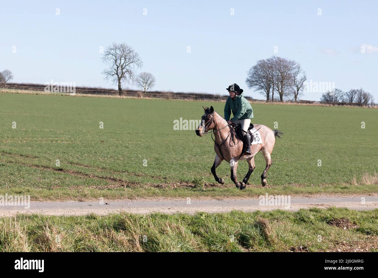 2022 Kiplingcotes Pferderennen Stockfoto