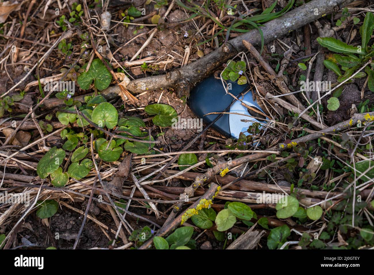 Eine Computermaus verschmutzt die Natur in Deutschland und vergiftet die Umwelt Stockfoto