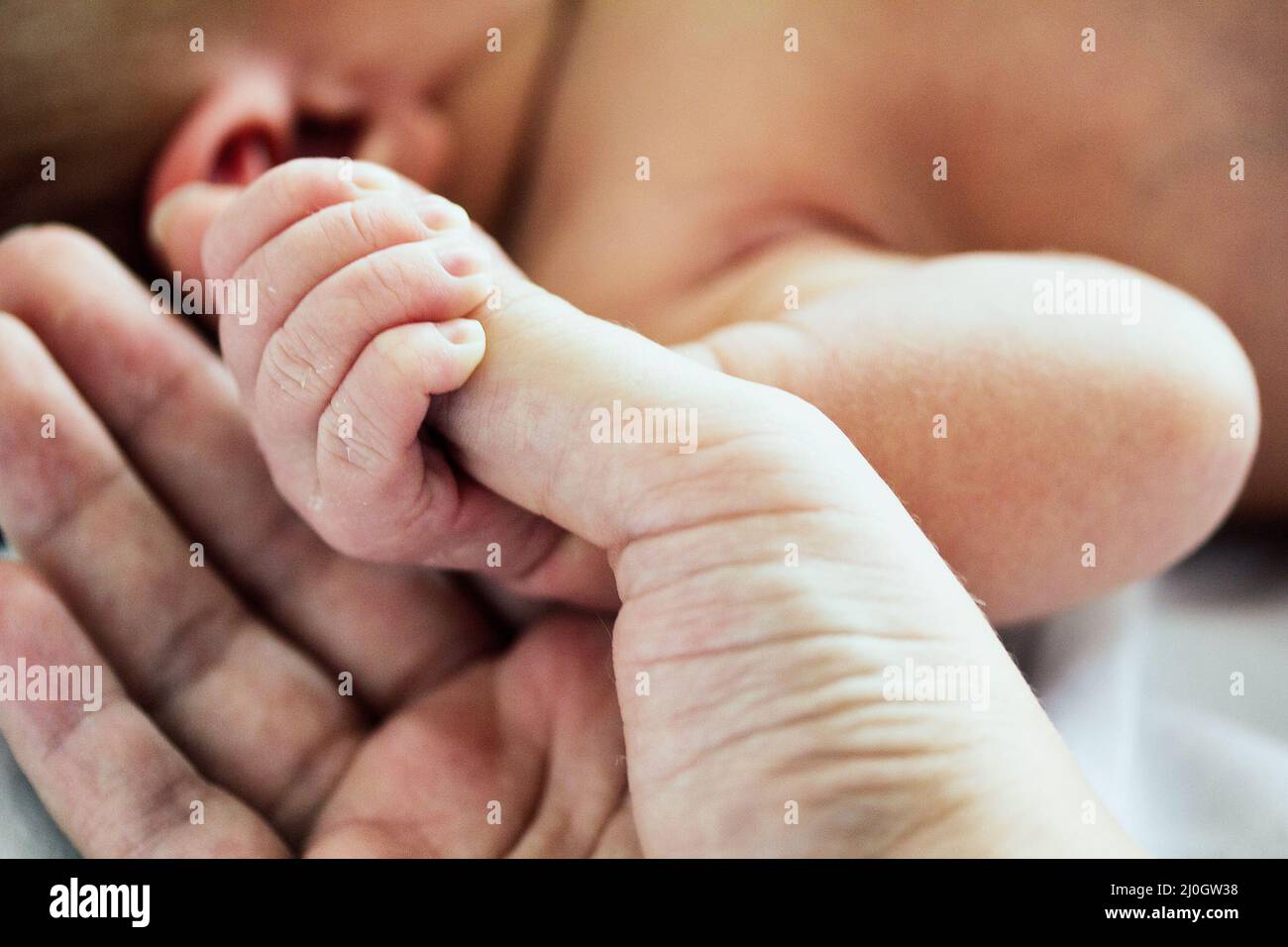 Erste Berührung eines Babys Stockfoto