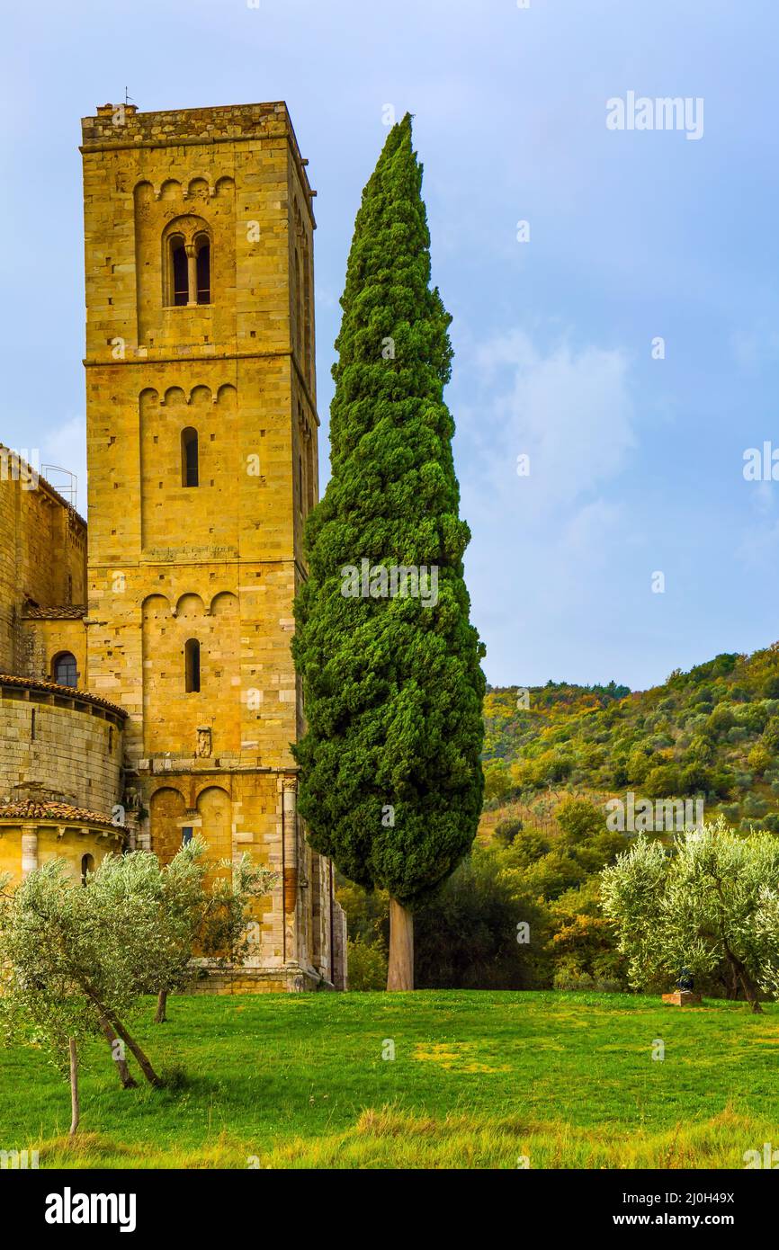 Die Zypresse schmückt die Abtei Stockfoto