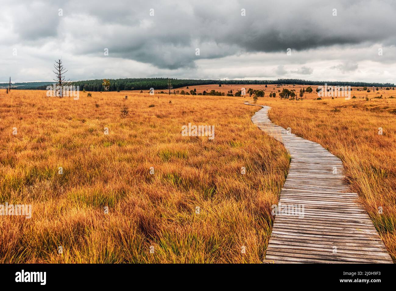 Landschaft im Naturpark hohe Fens in der Eifel Stockfoto