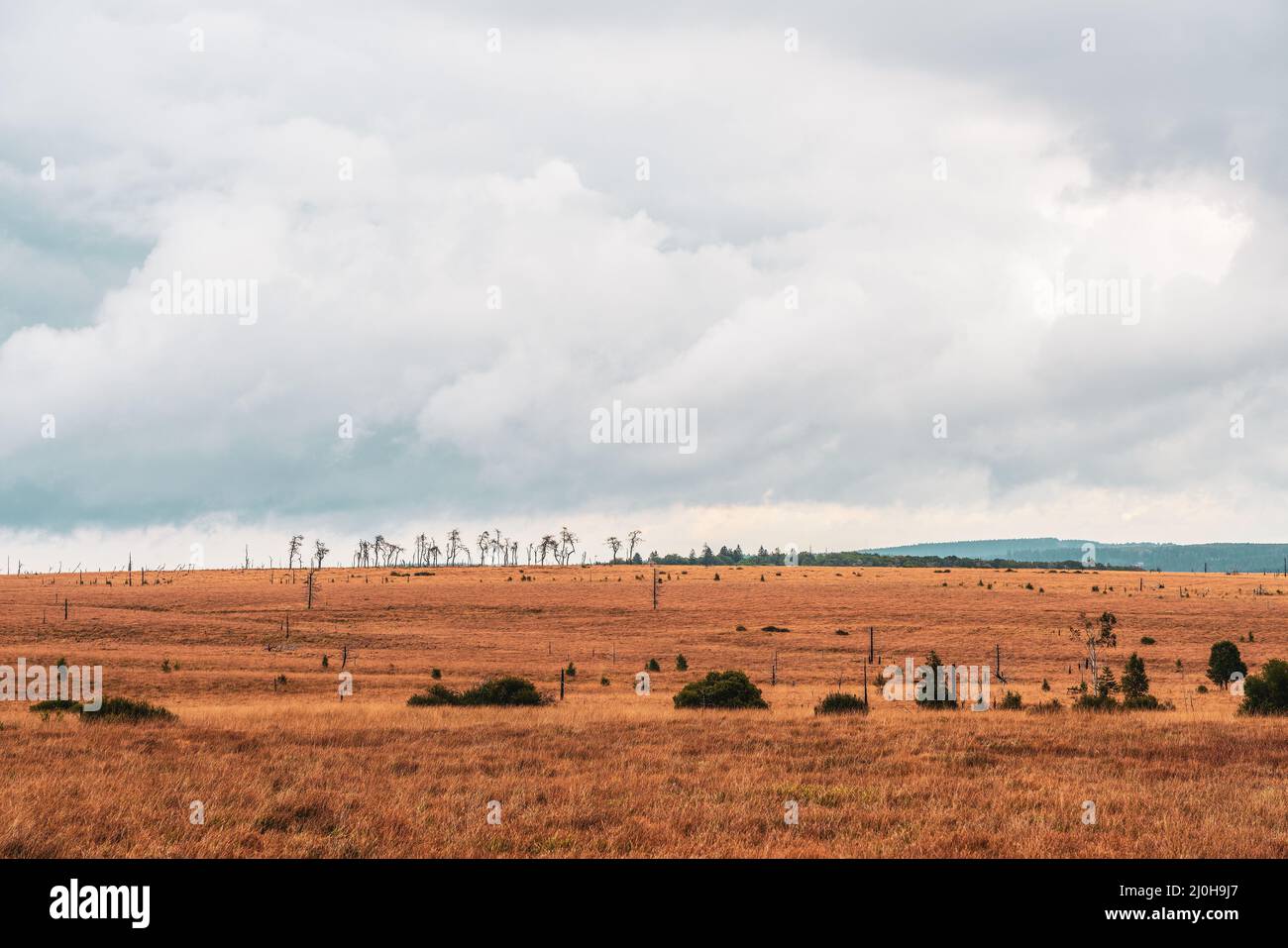 Landschaft im Naturpark hohe Fens in der Eifel Stockfoto