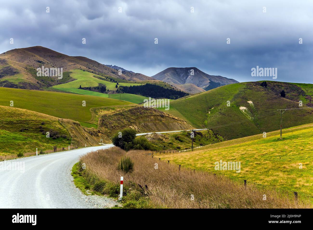 Das vergilbte Gras Stockfoto