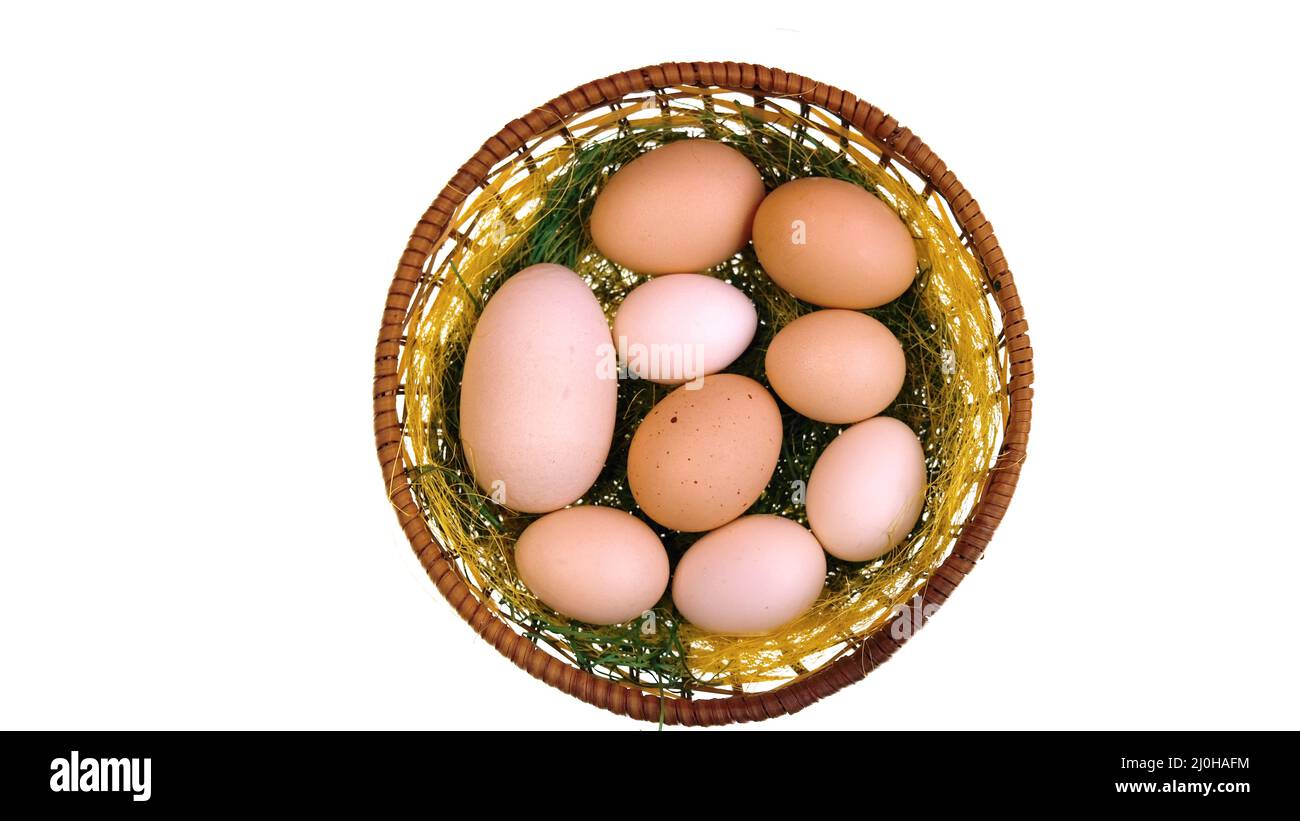Viele rohe Eier im Paner Stockfoto
