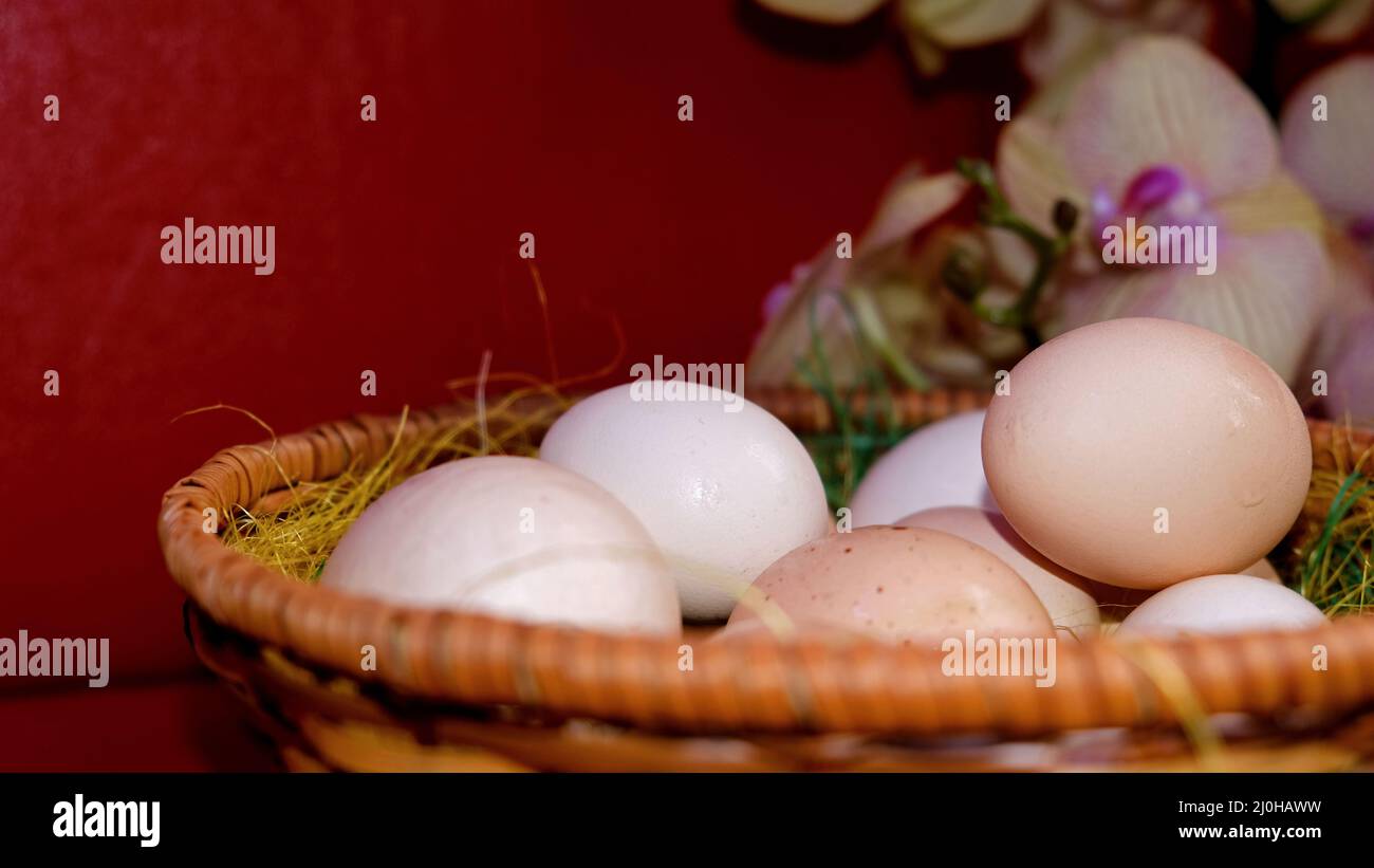 Osterhintergrund mit nicht bemalten Eiern Stockfoto