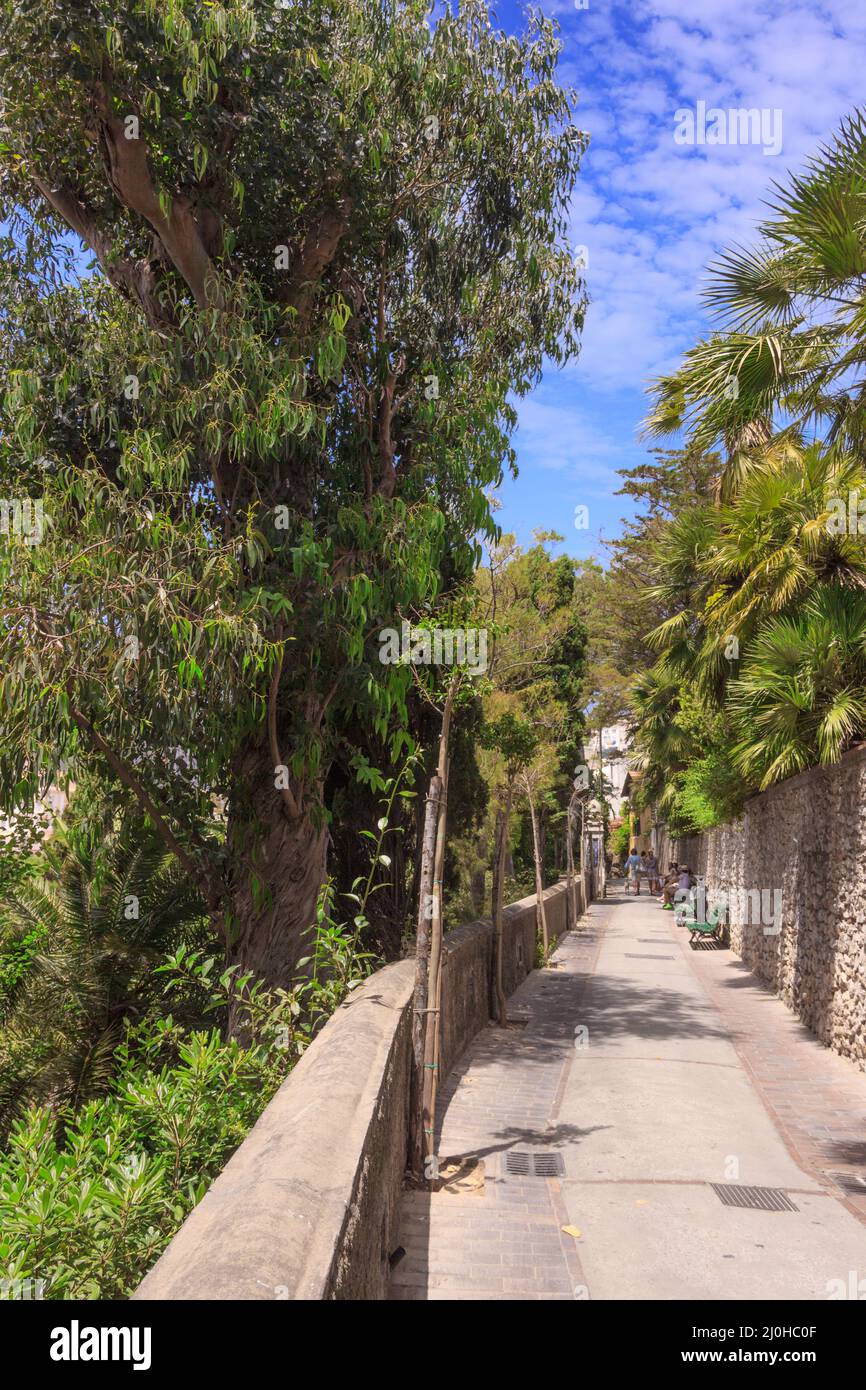 Schmale Straße auf der Insel Capri in Süditalien. Stockfoto