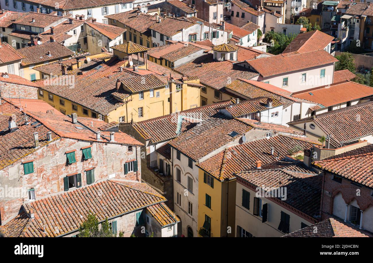 Stadtbild mit Dächern von Lucca Stadt vom Torre Ginigi Turm. Toskana Mittelitalien Stockfoto