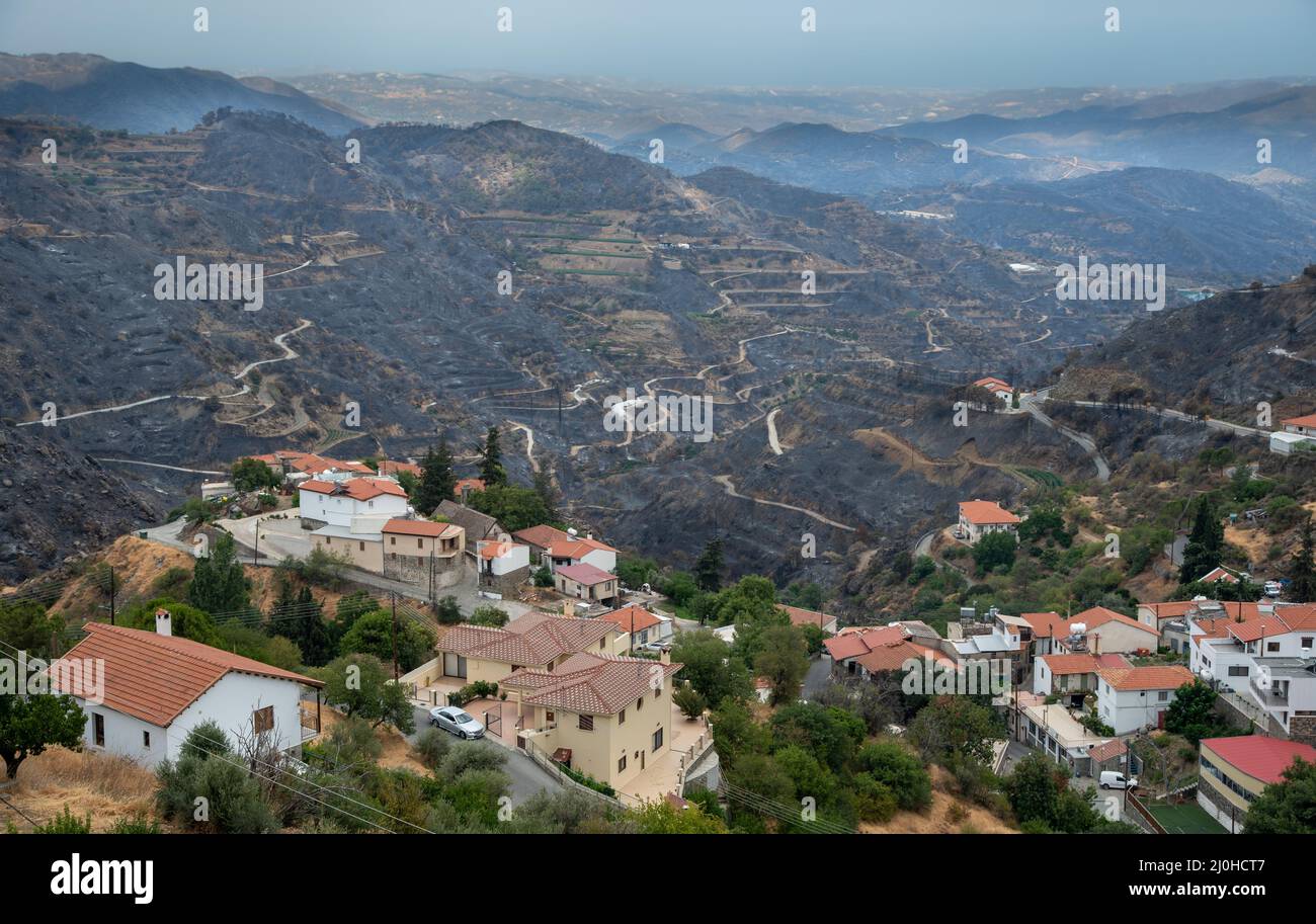 Bergfeuer mit verbranntem Land und Katastrophe für die Landwirtschaft. Odou Village Zypern. Umweltkatastrophe Stockfoto