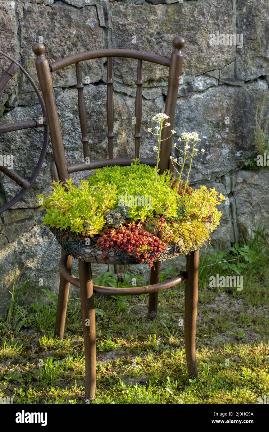 plastik pflanztopf Pflanztopf Kunststoff  Robuster Blumentopf fr Garten & Balkon  Flora  Boost