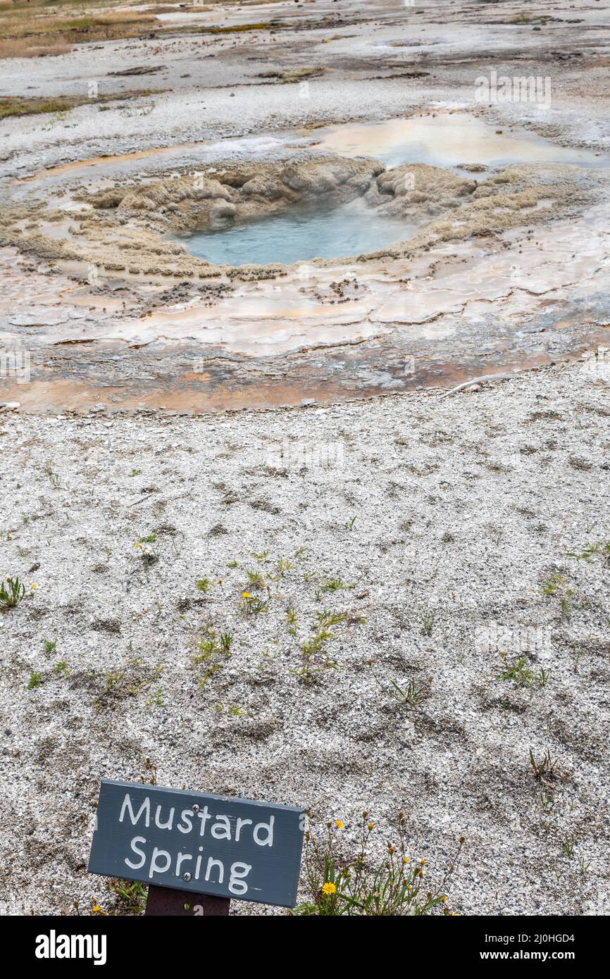 Eine Beschreibungstafel für die historische Naturquelle im Yellowstone NP, Wyoming Stockfoto