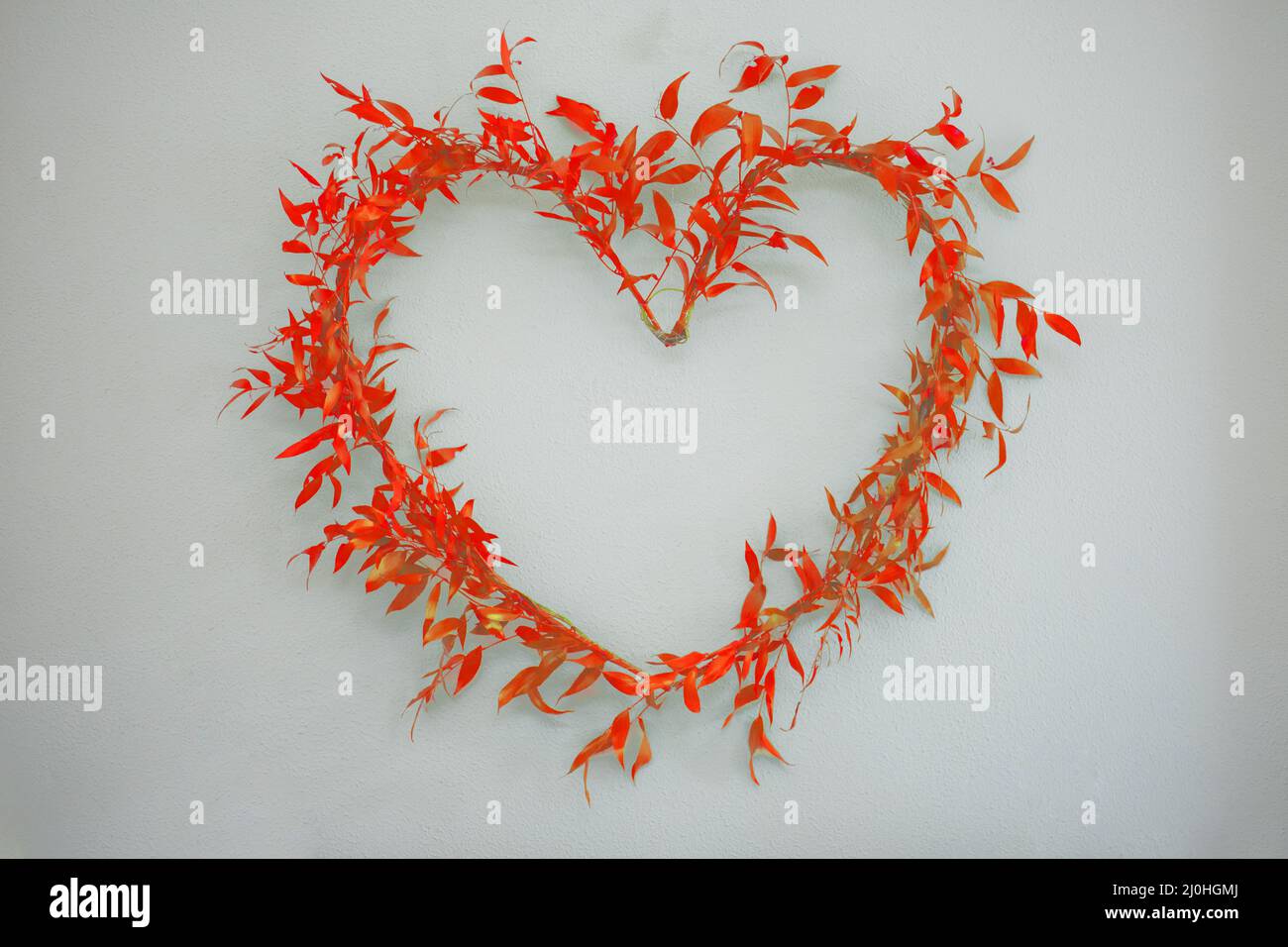 Arrangierte Herz-Symbol der Ruskus Zweige mit roten Blättern auf einem hellen Hintergrund. Stockfoto
