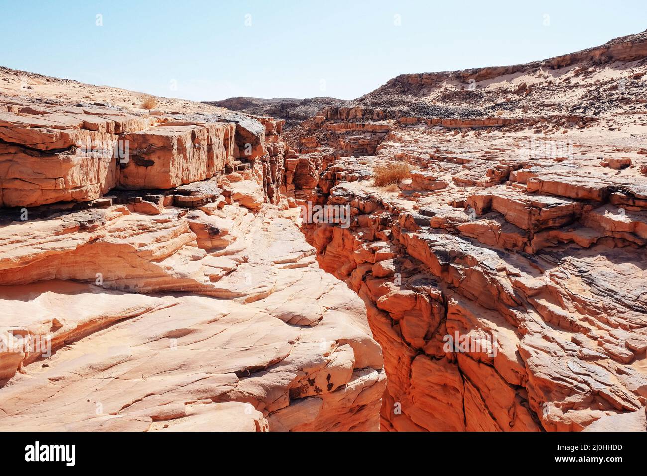 Die roten Sandfelsen in der Wüste. Vertikale Aufnahme. Stockfoto