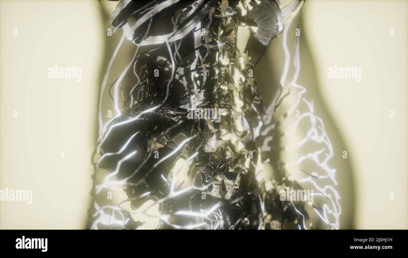 Inspektion von Blut in den Blutgefäßen des Kreislaufes System Stockfoto