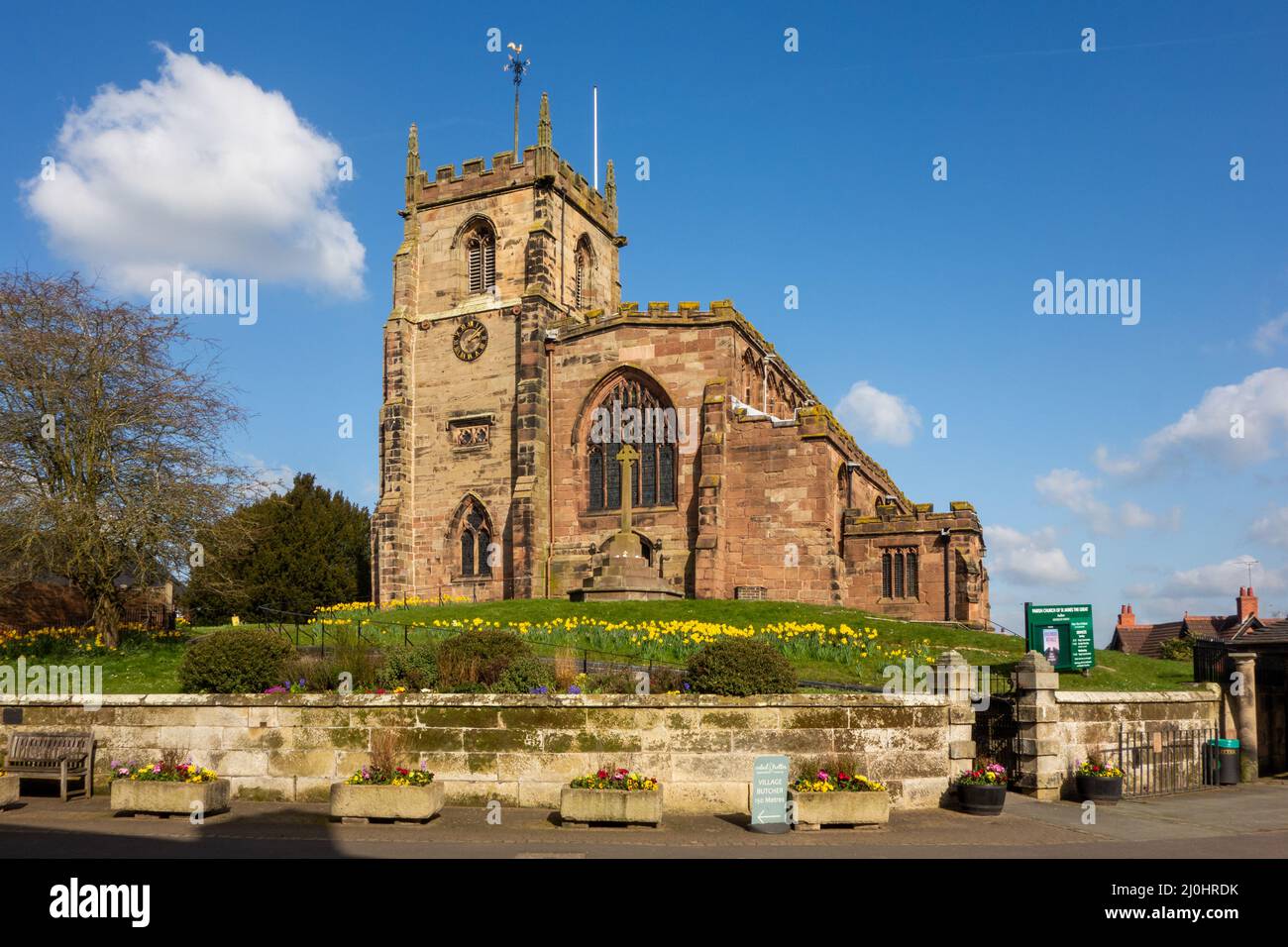 Frühlingsansicht der Pfarrkirche St. James der große im Cheshire-Dorf Audlem, mit Narzissen, die um den Hügel wachsen, auf dem sie steht Stockfoto