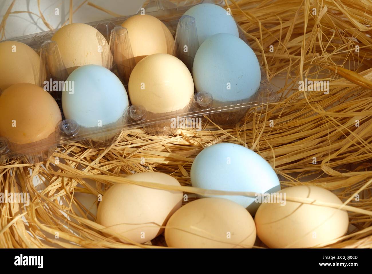 Braune und blaue Eier stapeln sich im Strohnest zusammen. Draufsicht, Nahaufnahme, Makroaufnahme von hartschaligen Eiern mit Weidenhay. Morgenmahlzeit Sonnenstrahlen. Stockfoto