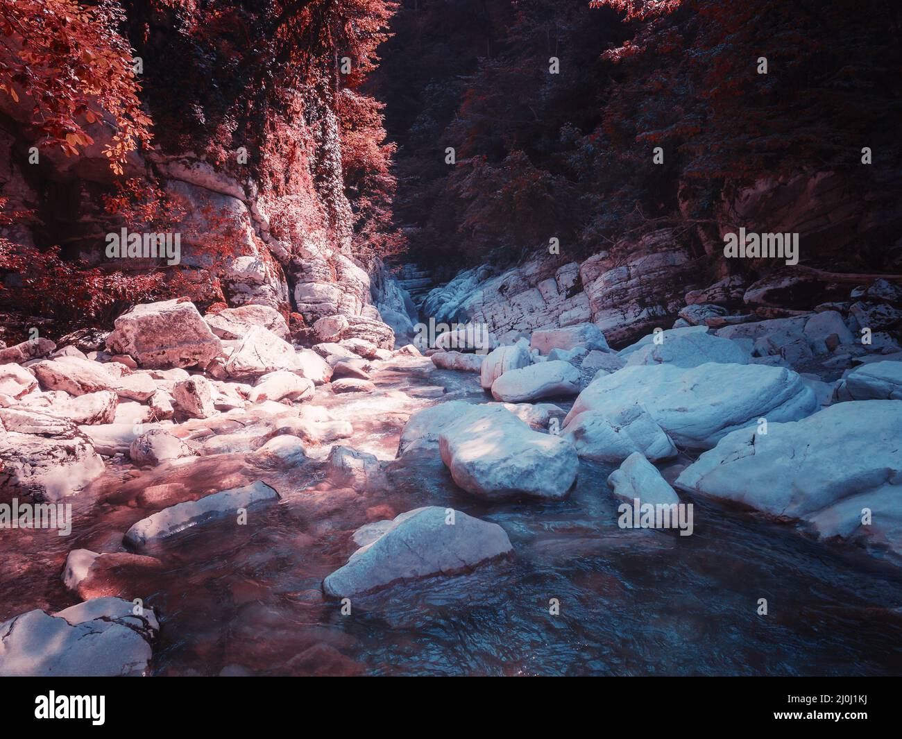 Felsiges Gelände mit einem Fluss, der in die Schlucht fließt, und dichtem Laubwald. Landschaft in karmesinroten Farbtönen. Foto mit Fil Stockfoto