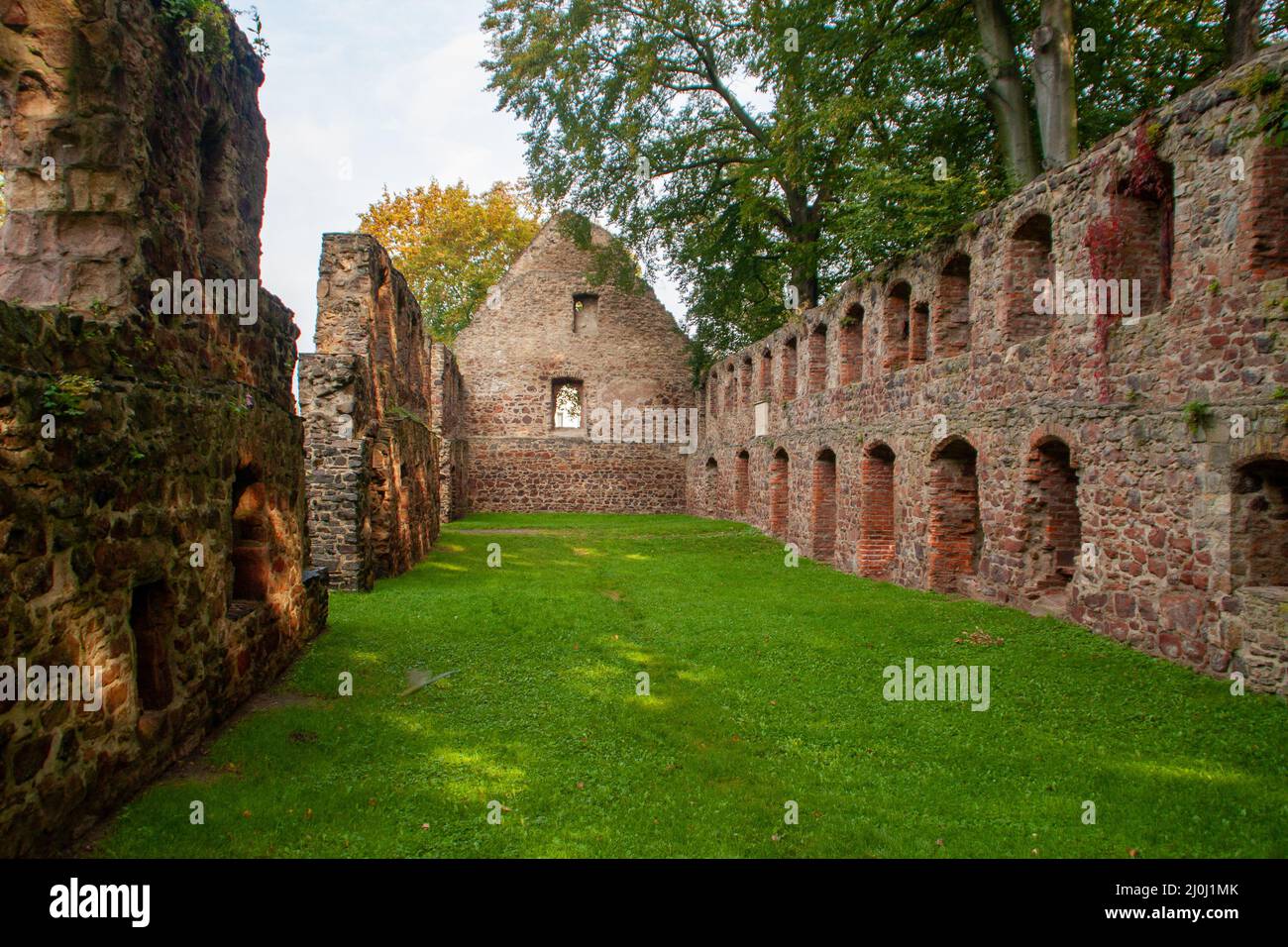 Die Ruinen der Klosterkirche in Nimbschen, einer ehemaligen Zisterzienserabtei bei Grimma im sächsischen Stadtteil Leipzig an der Mulde in Deutschland. Stockfoto