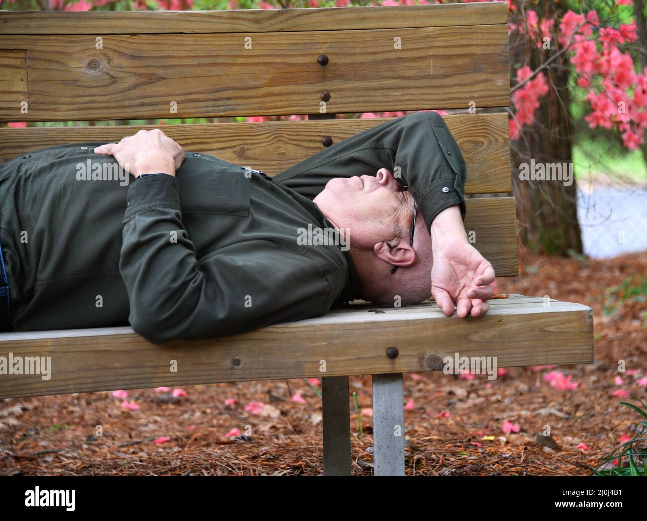 Älterer Mann nippt auf einer rustikalen, hölzernen Parkbank im Arboretum von South Arkansas, einem State Park in El Dorado, Arkansas. Sein Arm wird über seine Luftröhre geworfen Stockfoto