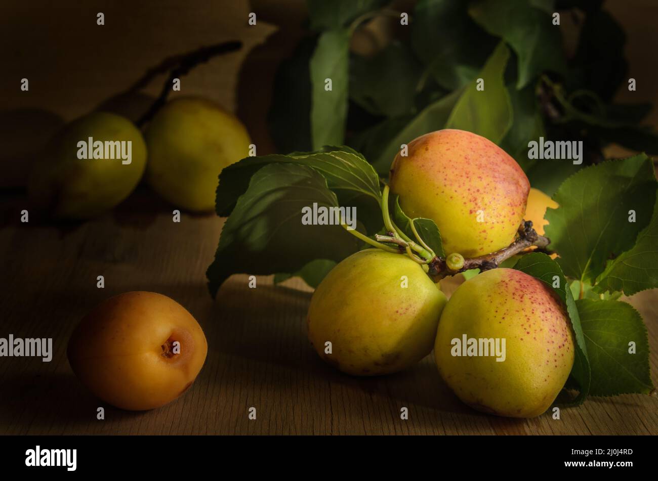 Reife saftige Aprikosenfrüchte auf dunklem Holzhintergrund in großer Menge Stockfoto