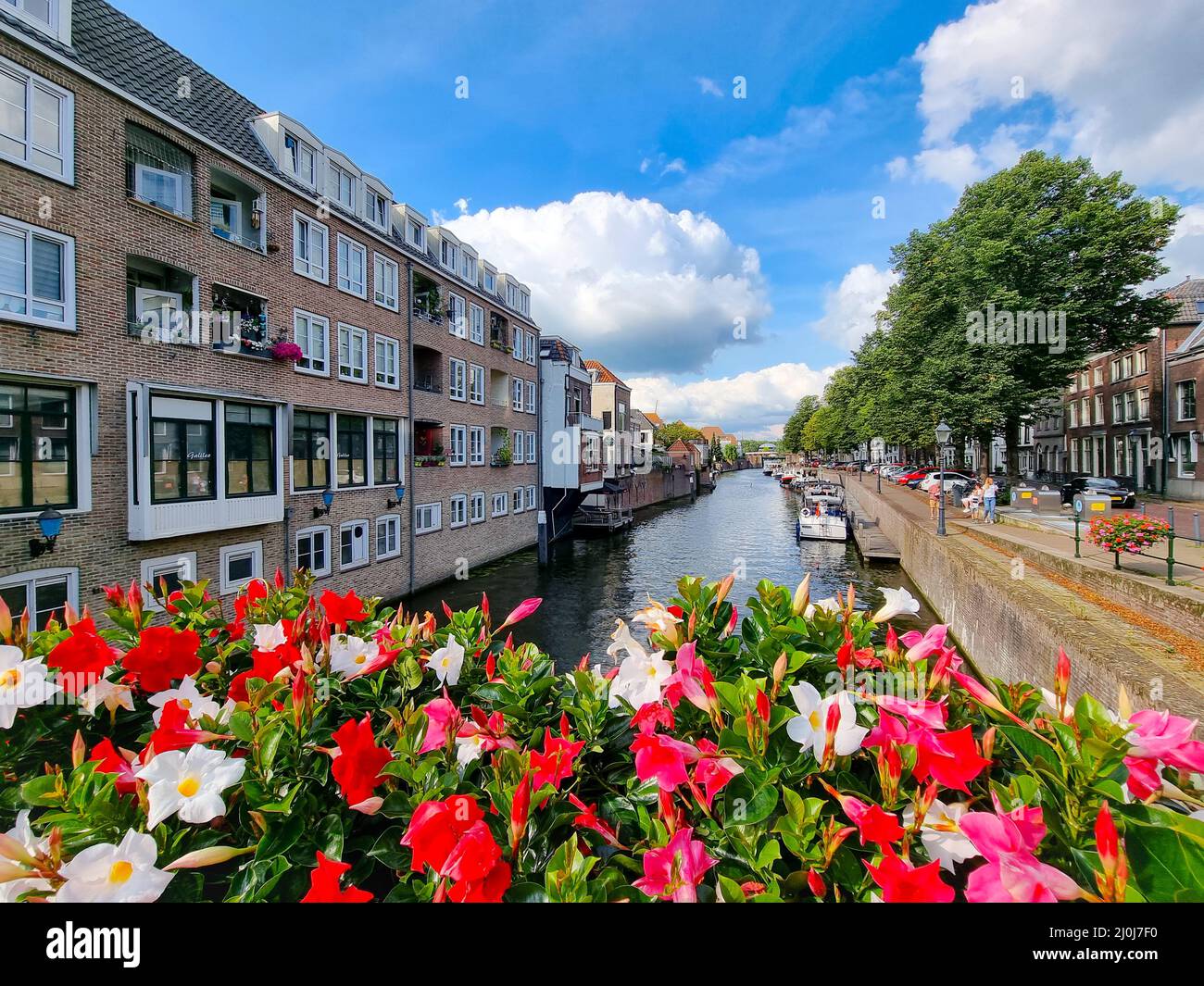 Häuser, Boote und Bäume auf dem Niederländischen Kanal. Mit Blumen im Vordergrund und einem blauen Himmel mit Wolken im Hintergrund. Stadt Gorinchem, Stockfoto