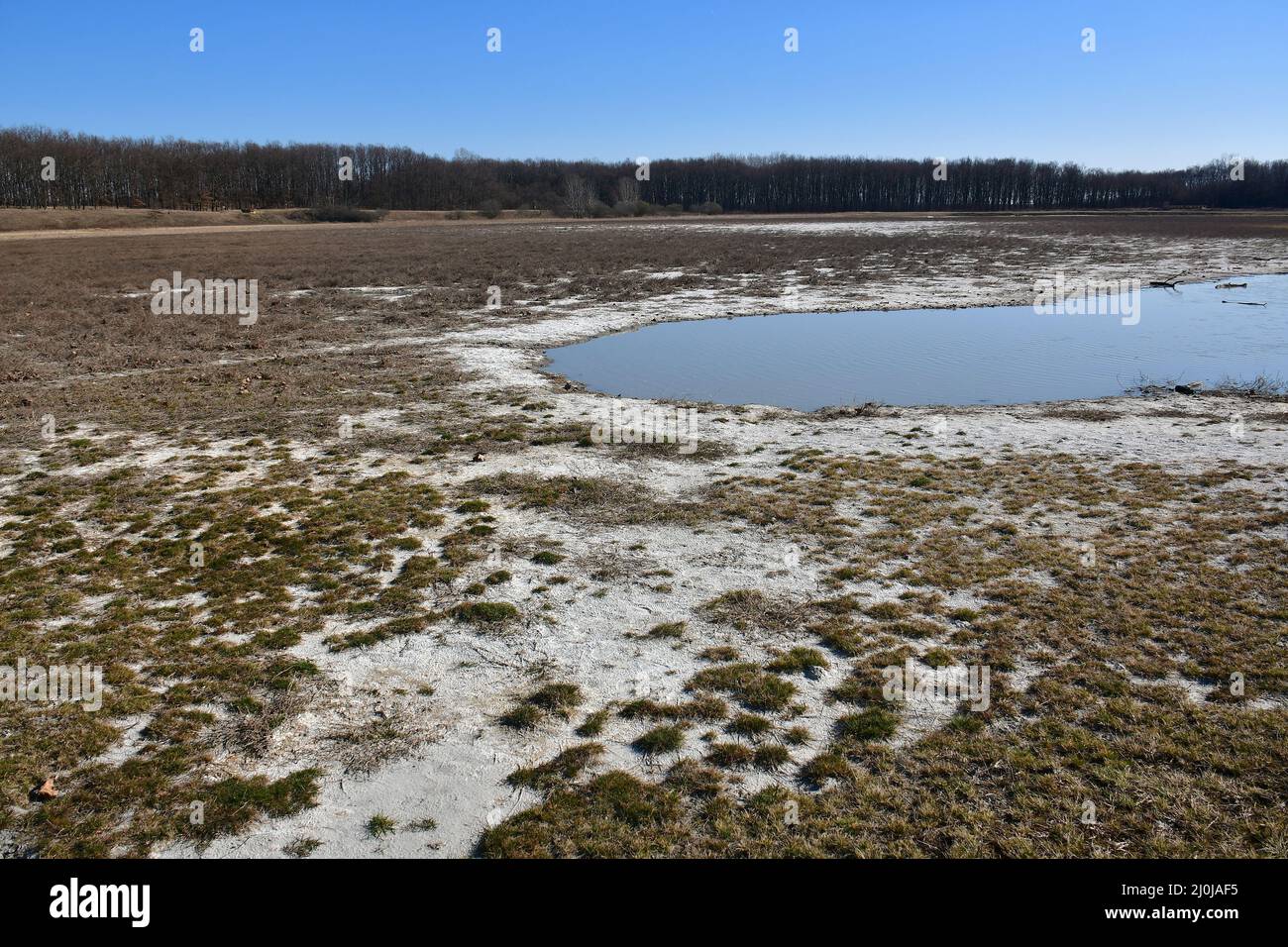 Naturschutzgebiet Salzsee, Sóstó, Bácsalmás, Gespanschaft Bács-Kiskun, Ungarn, Magyarország, Europa Stockfoto