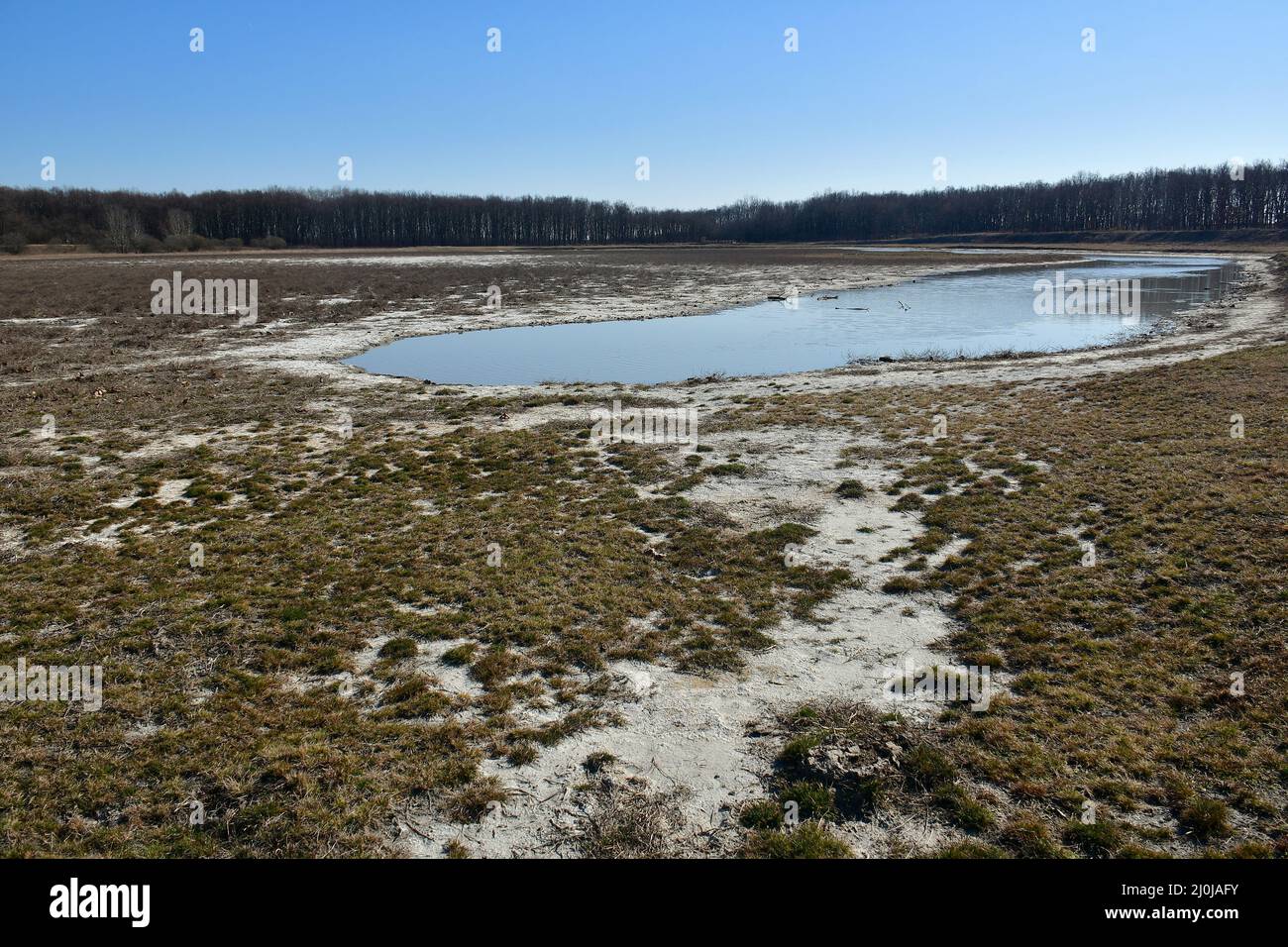 Naturschutzgebiet Salzsee, Sóstó, Bácsalmás, Gespanschaft Bács-Kiskun, Ungarn, Magyarország, Europa Stockfoto