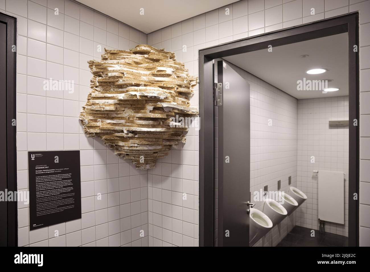 Kunst auf der Herrentoilette von JÃ¡chyme Fleig mit dem Titel Ephemere, Dortmund, Deutschland, Europa Stockfoto