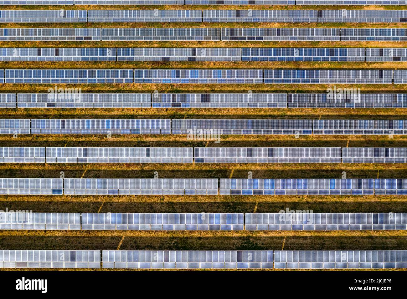 Drohnenbild eines großen Solarparks mit Solarmodulen aus einer bodenmontierten Solaranlage in Deutschland Stockfoto