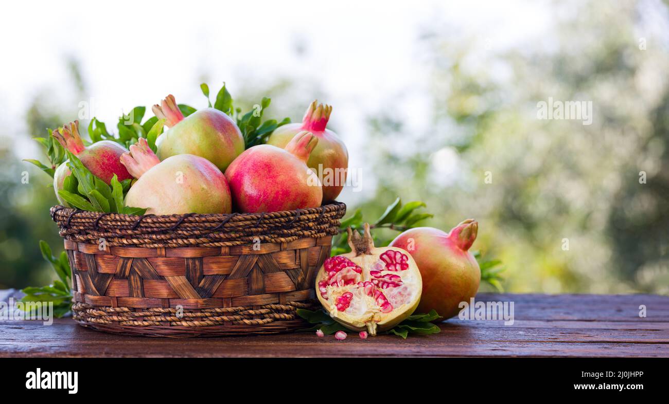 Reife und saftige Granatäpfel im Korb auf Holztisch. Ein voller Granatapfelkorb mit roten Früchten der Herbsternte Stockfoto