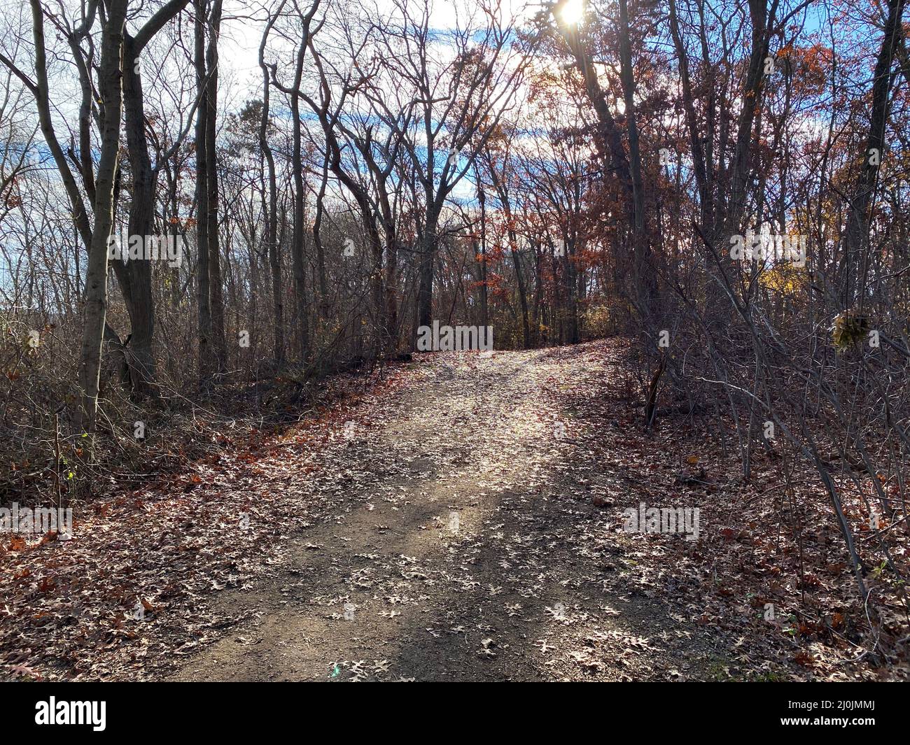 Ein Feldweg im Southards Pond Park, der von Blättern bedeckt ist, auf einem morgendlichen Spaziergang Anfang Dezember. Stockfoto