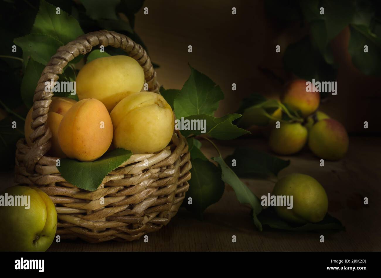 Reife saftige Aprikosenfrüchte auf dunklem Holzhintergrund in großer Menge Stockfoto