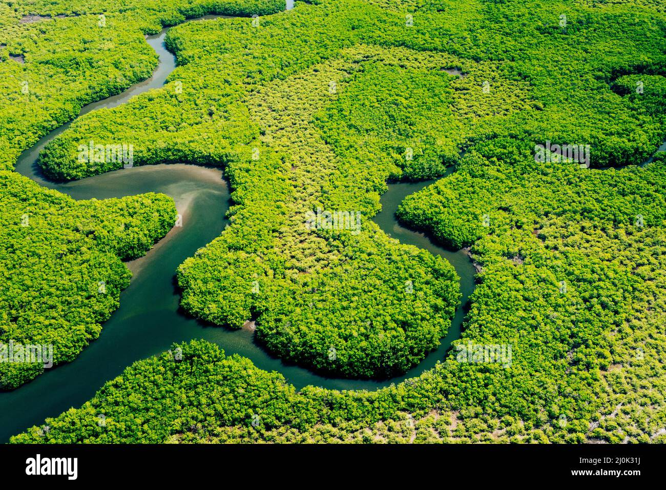 Ökosystem und gesunde Umwelt. Konzepte und Natur Hintergrund. Tropischer Regenwald. Luftaufnahme Von Oben. Stockfoto