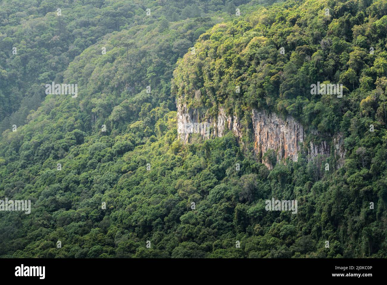 Natürliche Landschaftsansicht von Serra Gaucha - Canela, Rio Grande do Sul, Brasilien Stockfoto