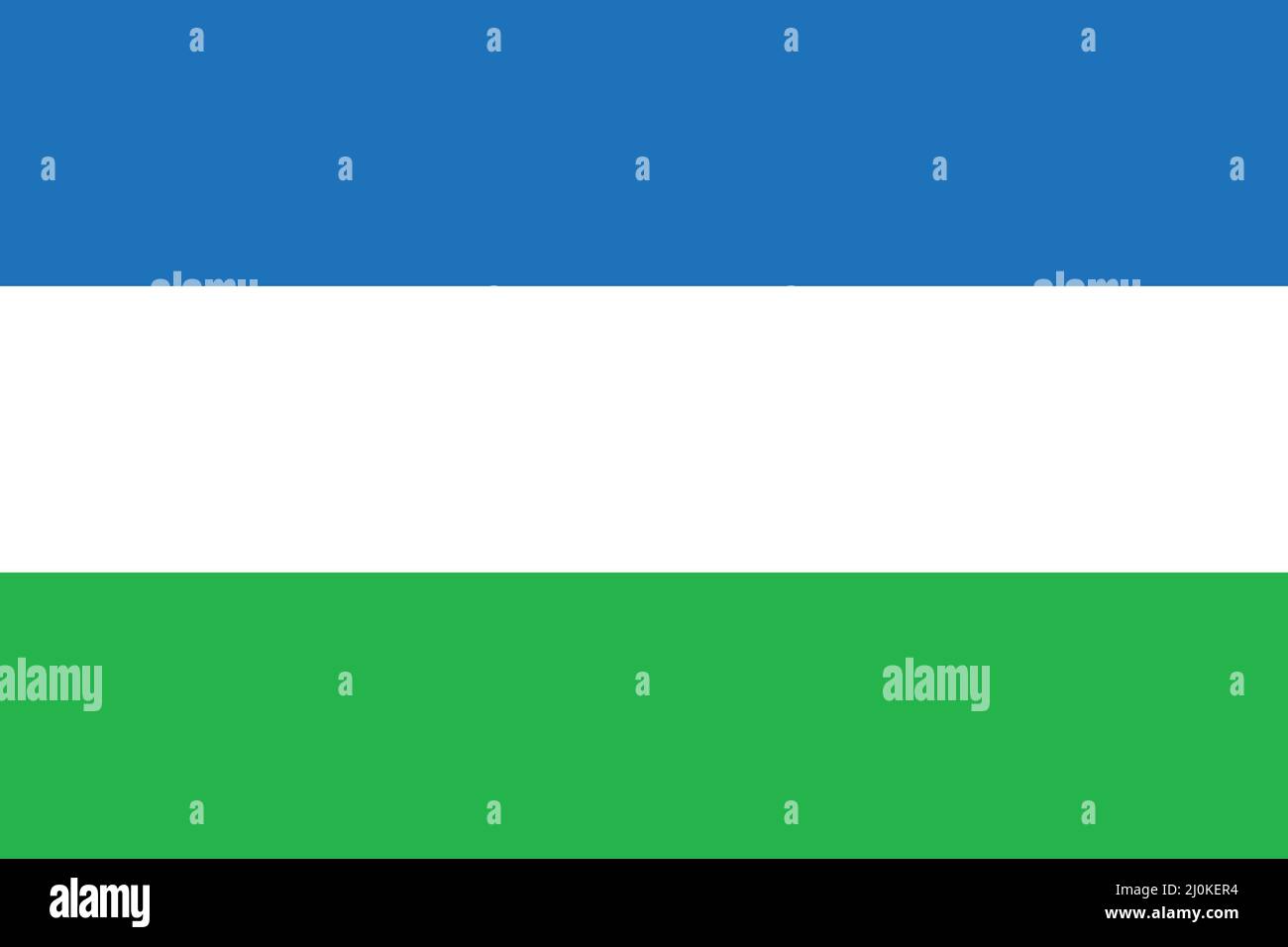 Flagge der Republik Molossia als Vektor. Stock Vektor