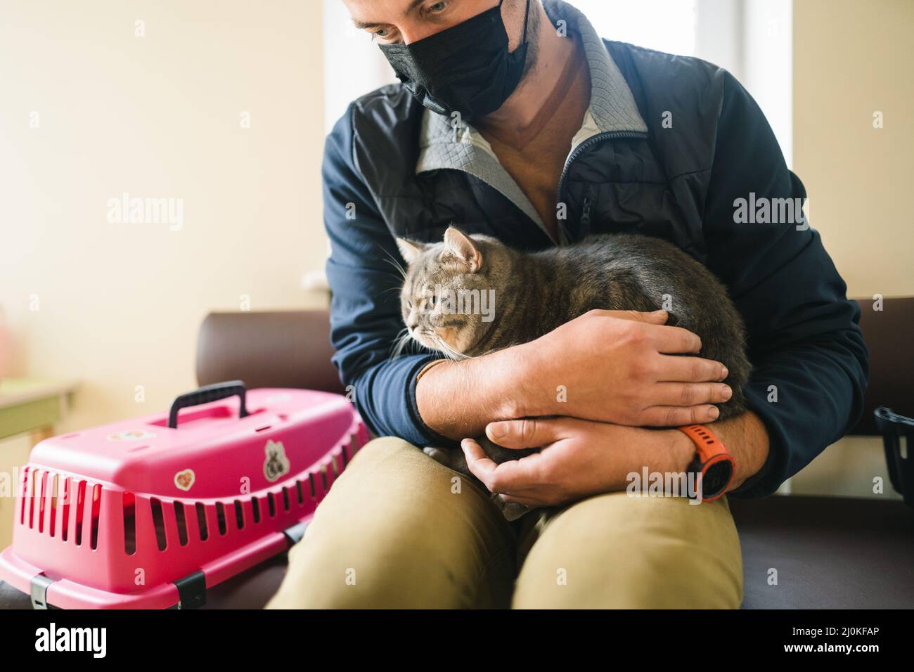 Der Besitzer, ein Mann in Maske mit grauer Scottish Straight Katze, sitzt und wartet in der Halle der Tierklinik auf einen Tierarzt. Anim Stockfoto