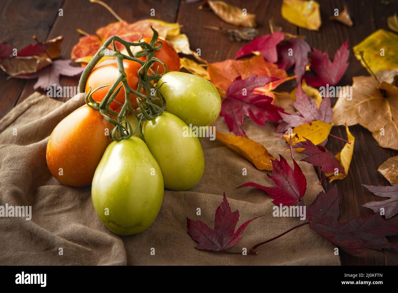 Reife roma-Tomaten. Stockfoto