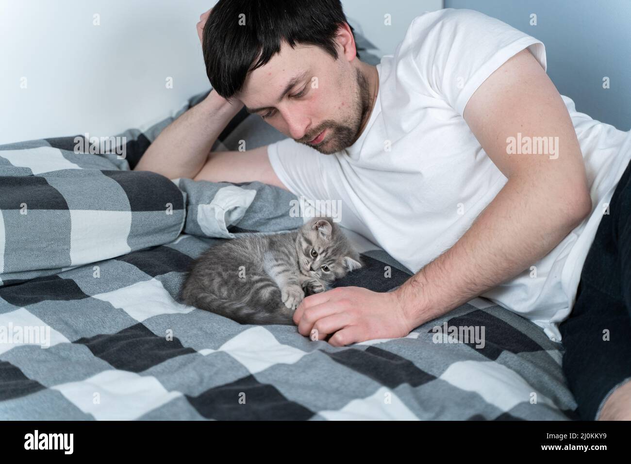 Beste Freunde, die ein Nickerchen machen. Mann liegt auf dem Bett und spielt mit dem kleinen britischen Kätzchen. Beziehung zwischen Besitzer und inländischem Katzentier Stockfoto