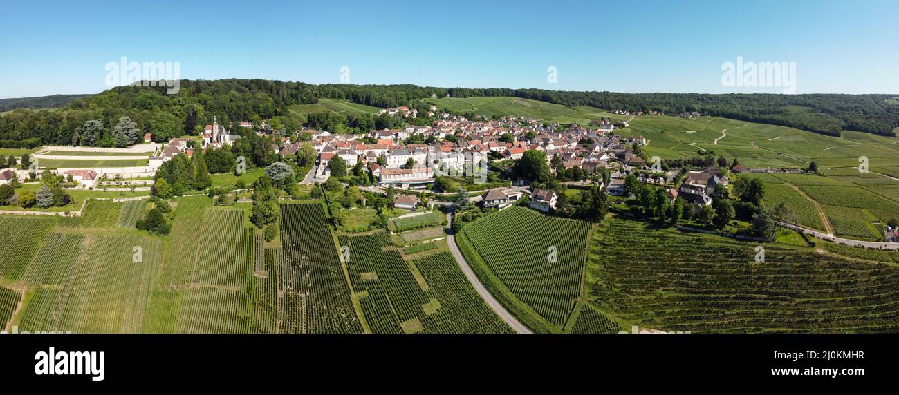 Luftpanorama auf Champagnerweinlagen und dem Dorf Hautvillers bei Epernay, Champange, Frankreich Stockfoto