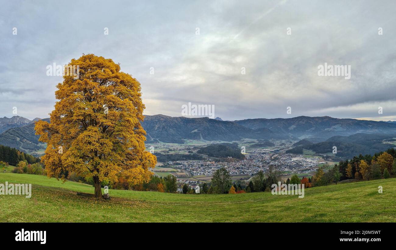 Herbst Stockfoto