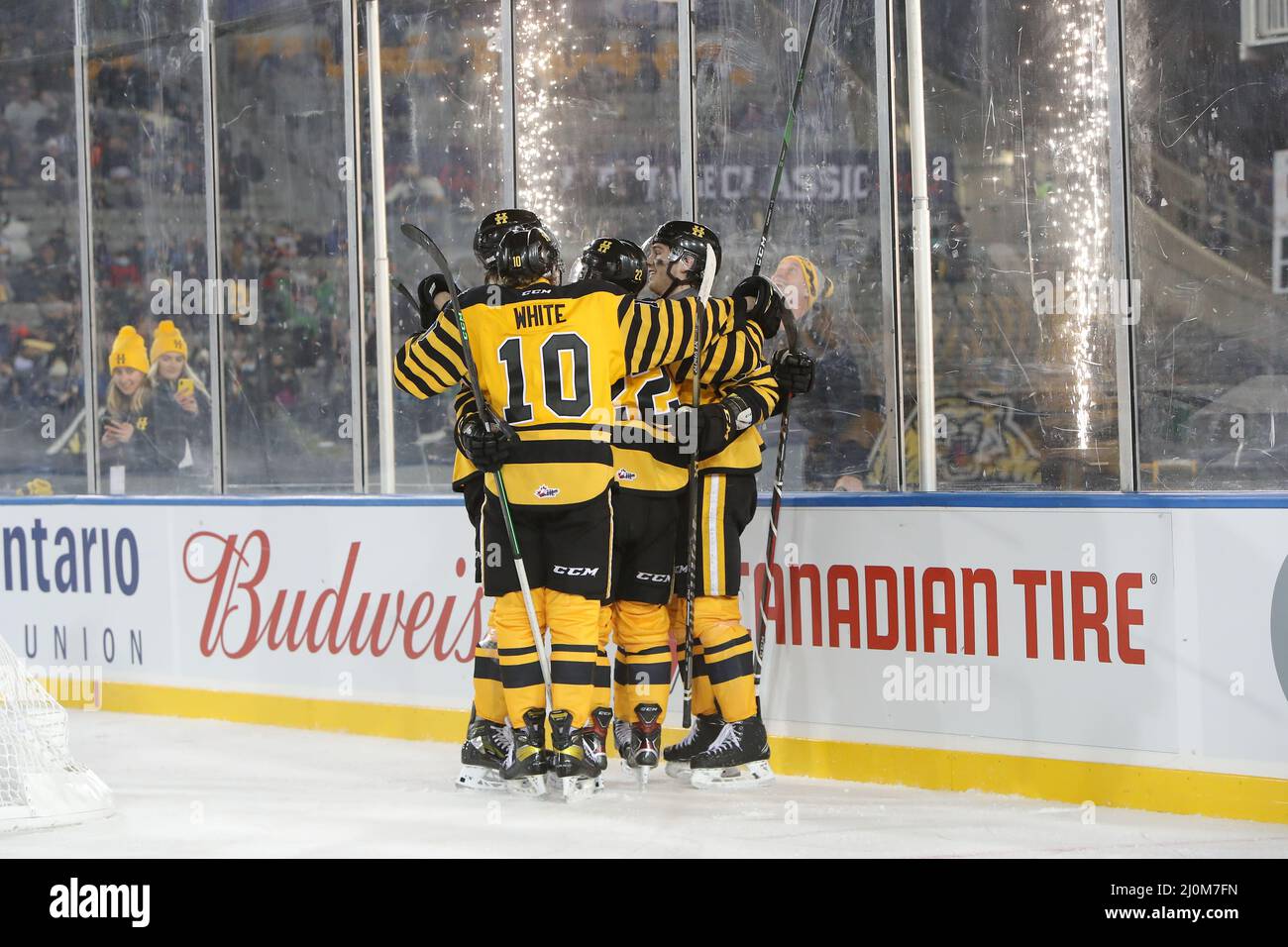 Hamilton Ontario Canada, OHL Outdoor Showcase 2022 im Tim Hortons Field. Hamiton besiegt Oshawa 3-0. (Nur für redaktionelle Zwecke) Luke Durda/Alamy Stockfoto