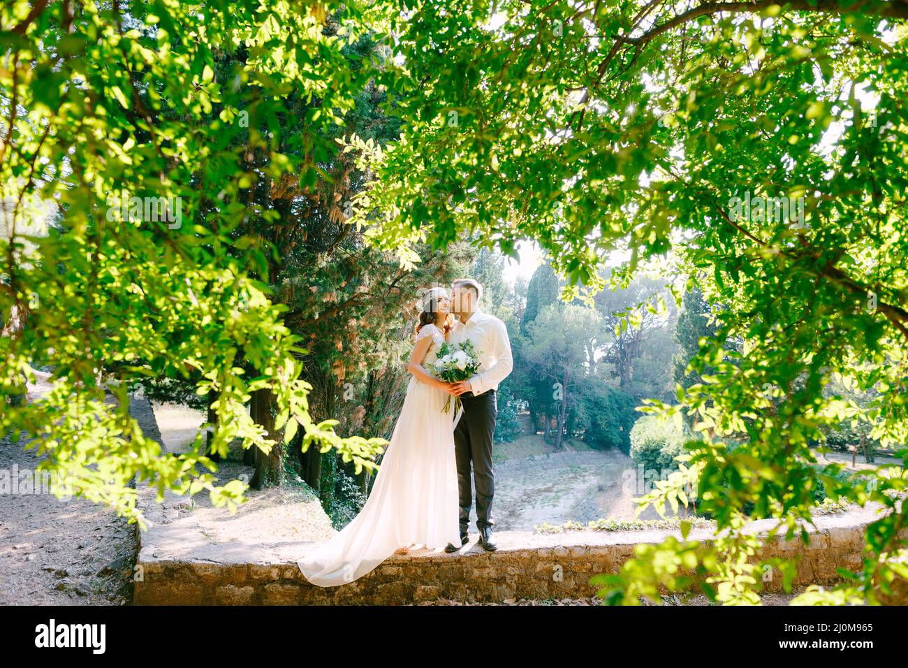 Die Braut und der Bräutigam umarmen sich zwischen wunderschönen üppigen Ästen Von Bäumen in den sonnigen Tag im Park Stockfoto