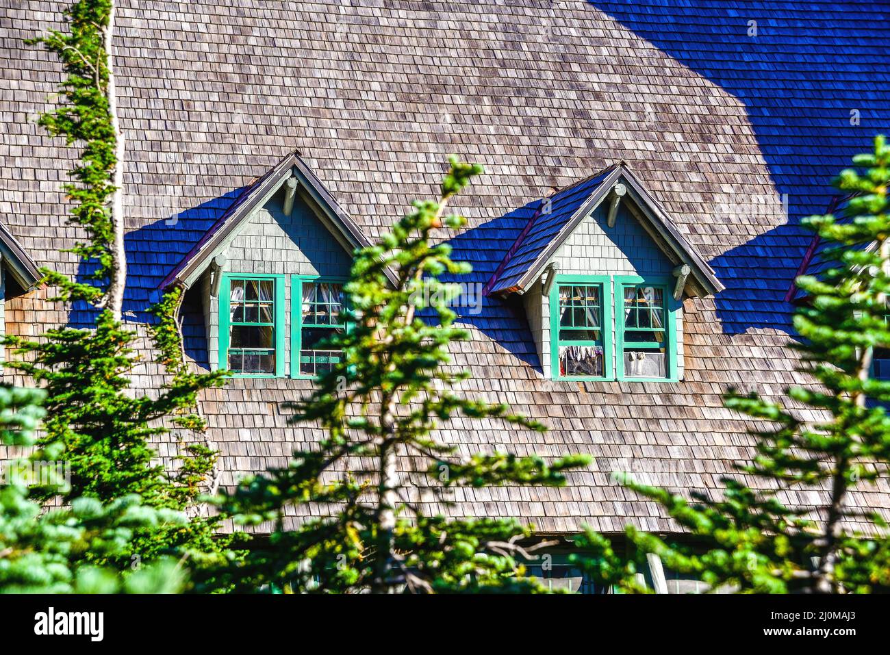 Zederndach und Dachfenster Stockfoto