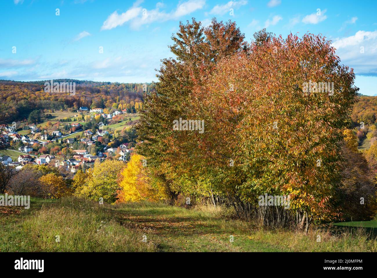 Luftbild auf Kleinstadt - bunte Felder und Bäume im Herbst Stockfoto
