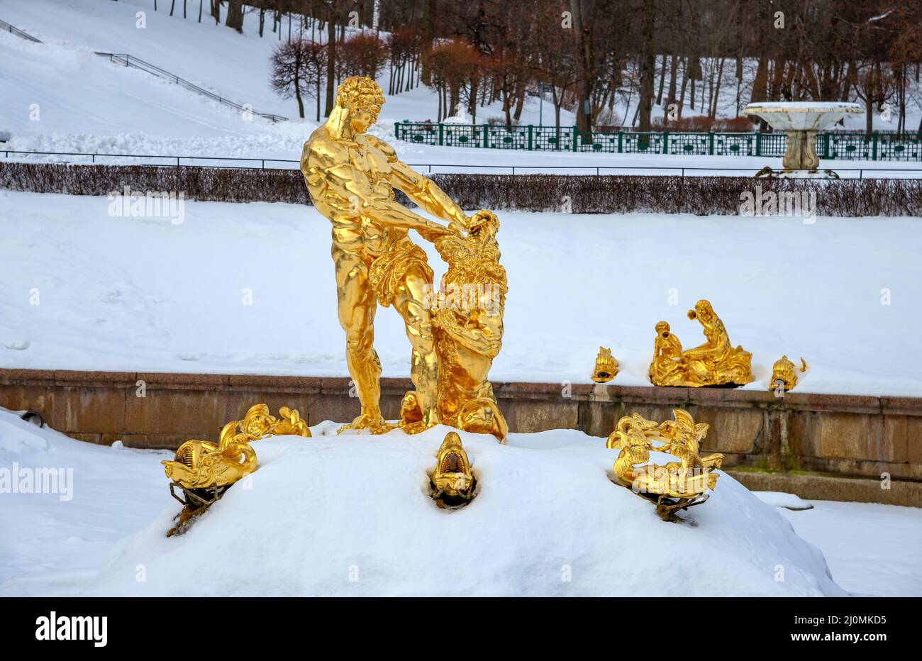PETERHOF, RUSSLAND - 12. FEBRUAR 2022: Blick auf den Brunnen 'Samson reißt den Mund des Löwen' an einem düsteren Februartag. Petrodvorets Stockfoto