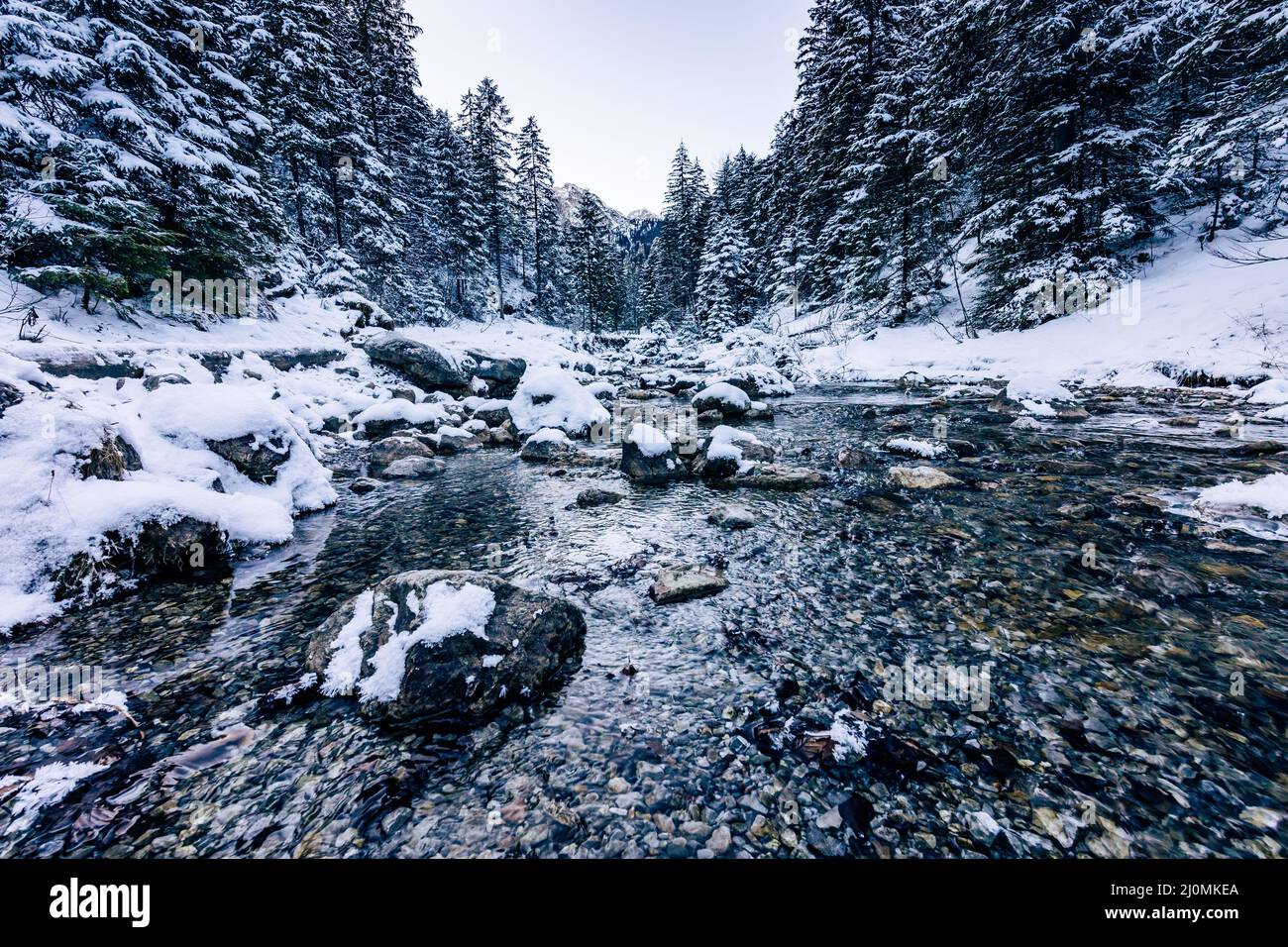Tatra-Berge im Winter. Blick auf die weißen schneebedeckten Gipfel, frostige Winterberge. Kasprowy Wierch, Hohe Tatra, Polen, Europa. Stockfoto