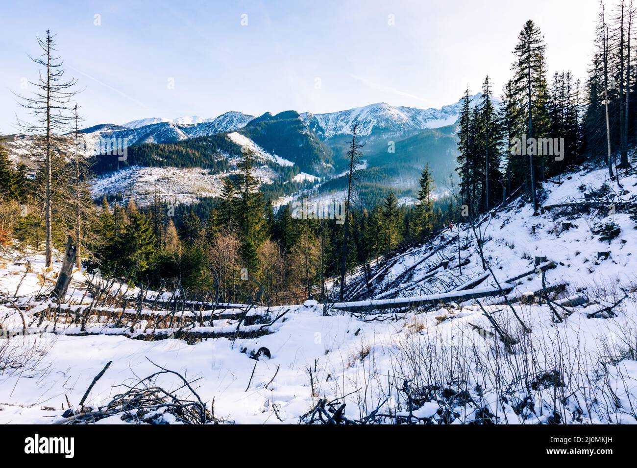 Tatra-Berge im Winter. Blick auf die weißen schneebedeckten Gipfel, frostige Winterberge. Kasprowy Wierch, Hohe Tatra, Polen, Europa. Stockfoto