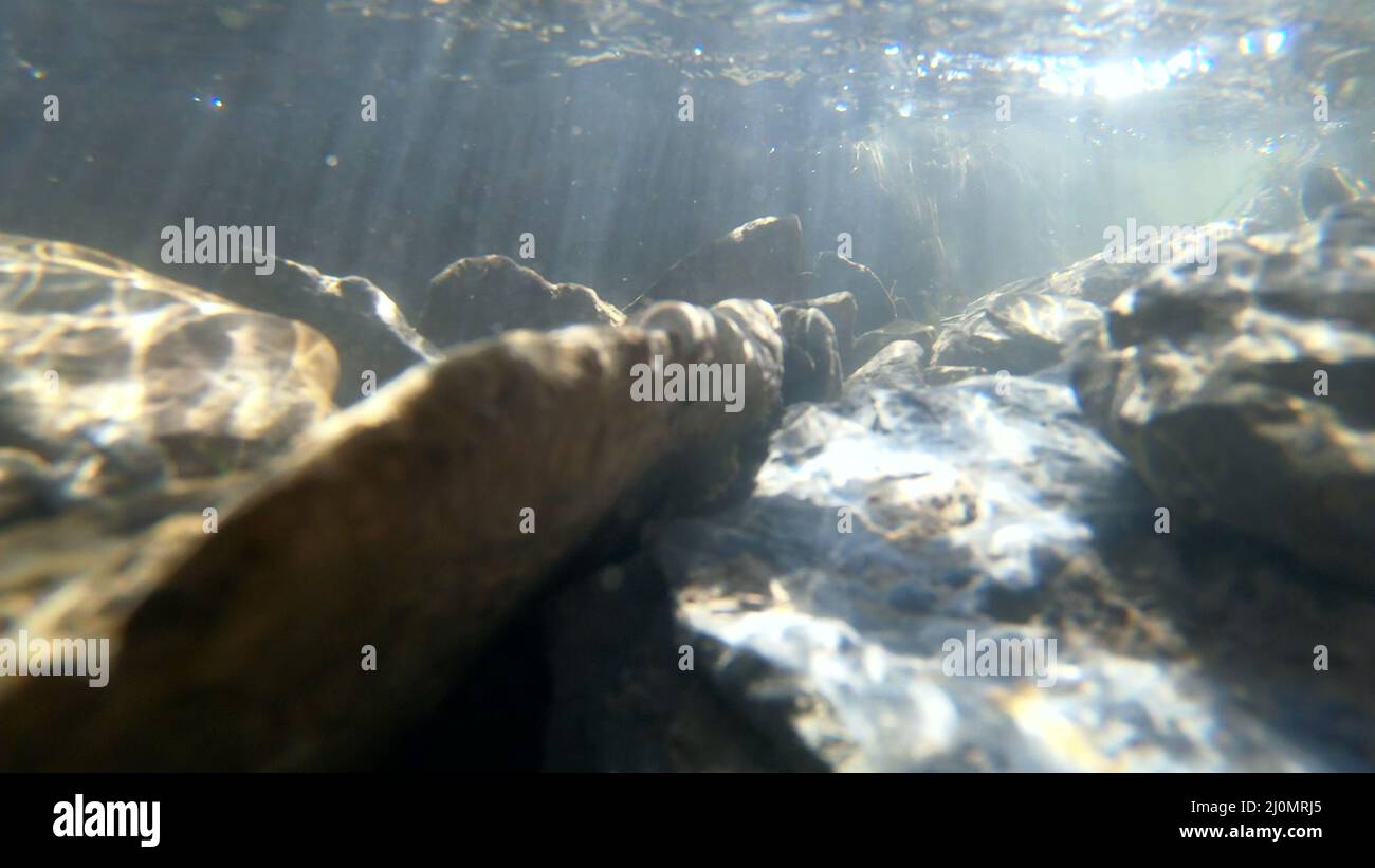 Fließendes Wasser, Oberlicht der Sonne durch das Wasser, Steine liegen unten Stockfoto