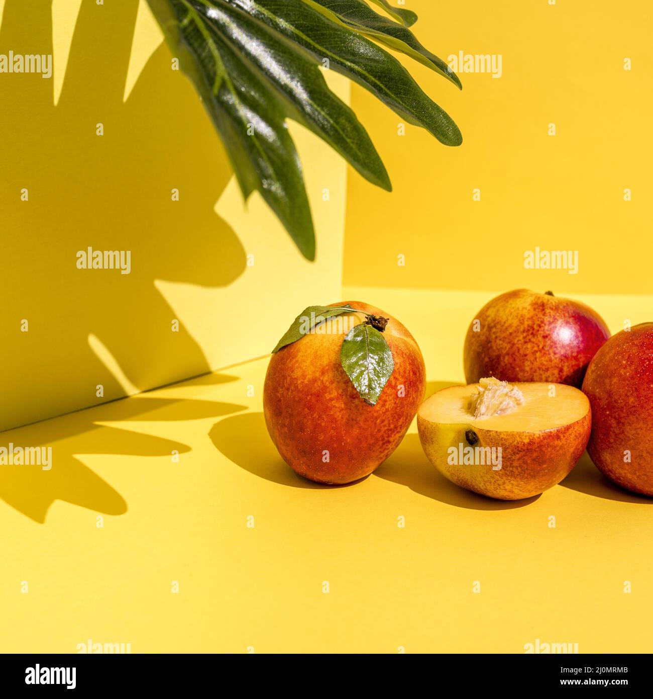 Vorderansicht zeigt Schatten Stockfoto